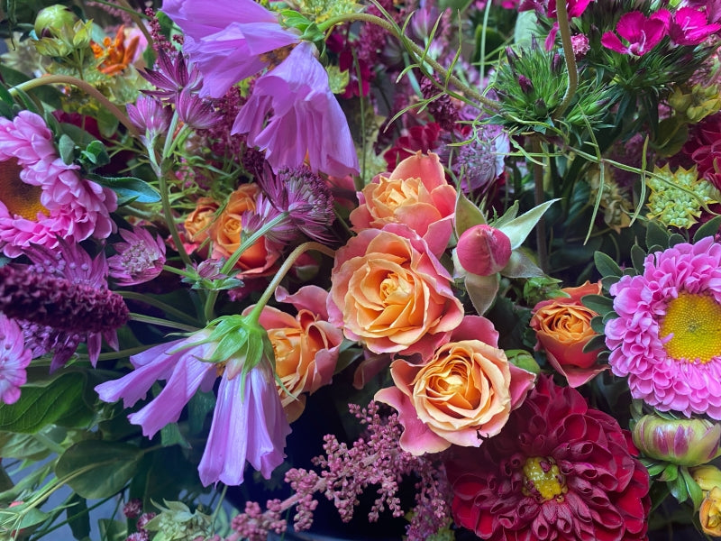 Windsor Purples - Lady Flora Florists