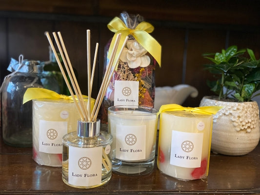 Magnolia - Lady Flora Florists