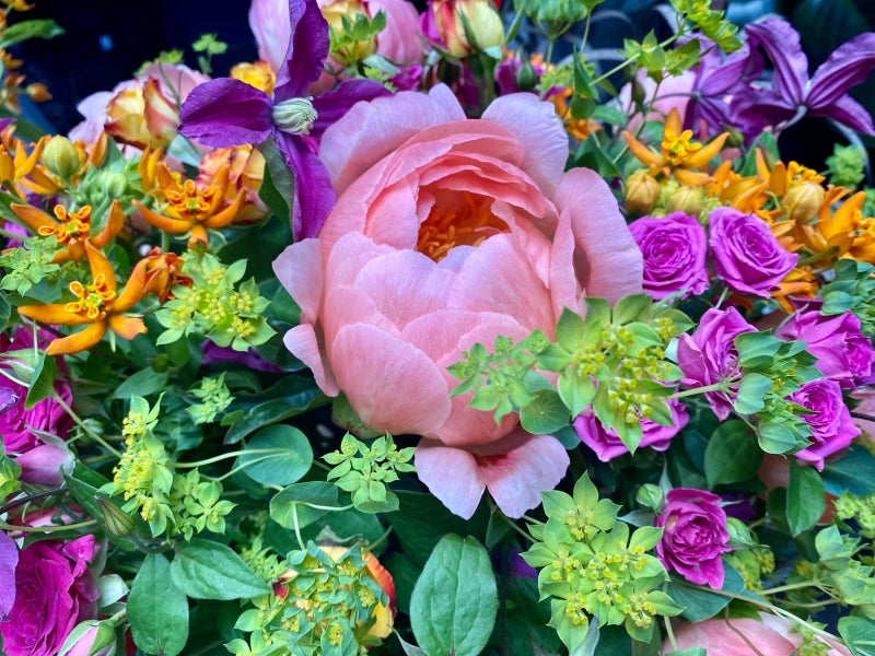 Lady Flora Florist Choice