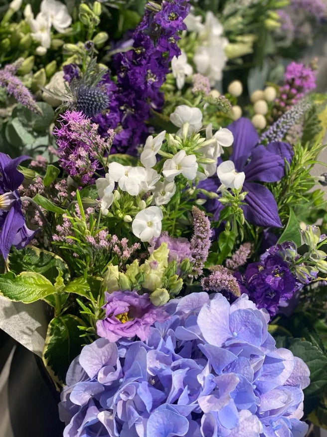 Windsor Purples