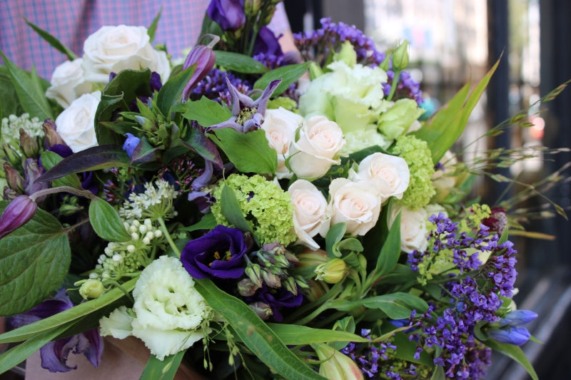 Windsor Purples